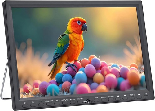 Portable dvd player - 16.9", with